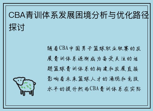 CBA青训体系发展困境分析与优化路径探讨 CBA青训体系发展困境分析与优化路径探讨